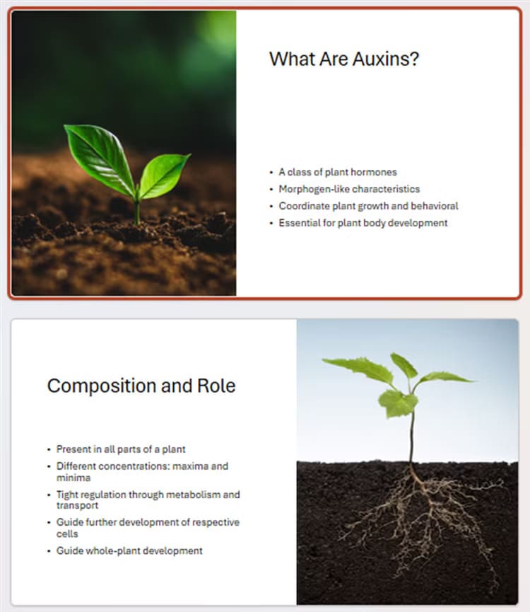 slides-in-powerpoint-that-follow-the-6-x-6-rule-1 طرق إبداعية للاستفادة من PowerPoint في حياتك اليومية