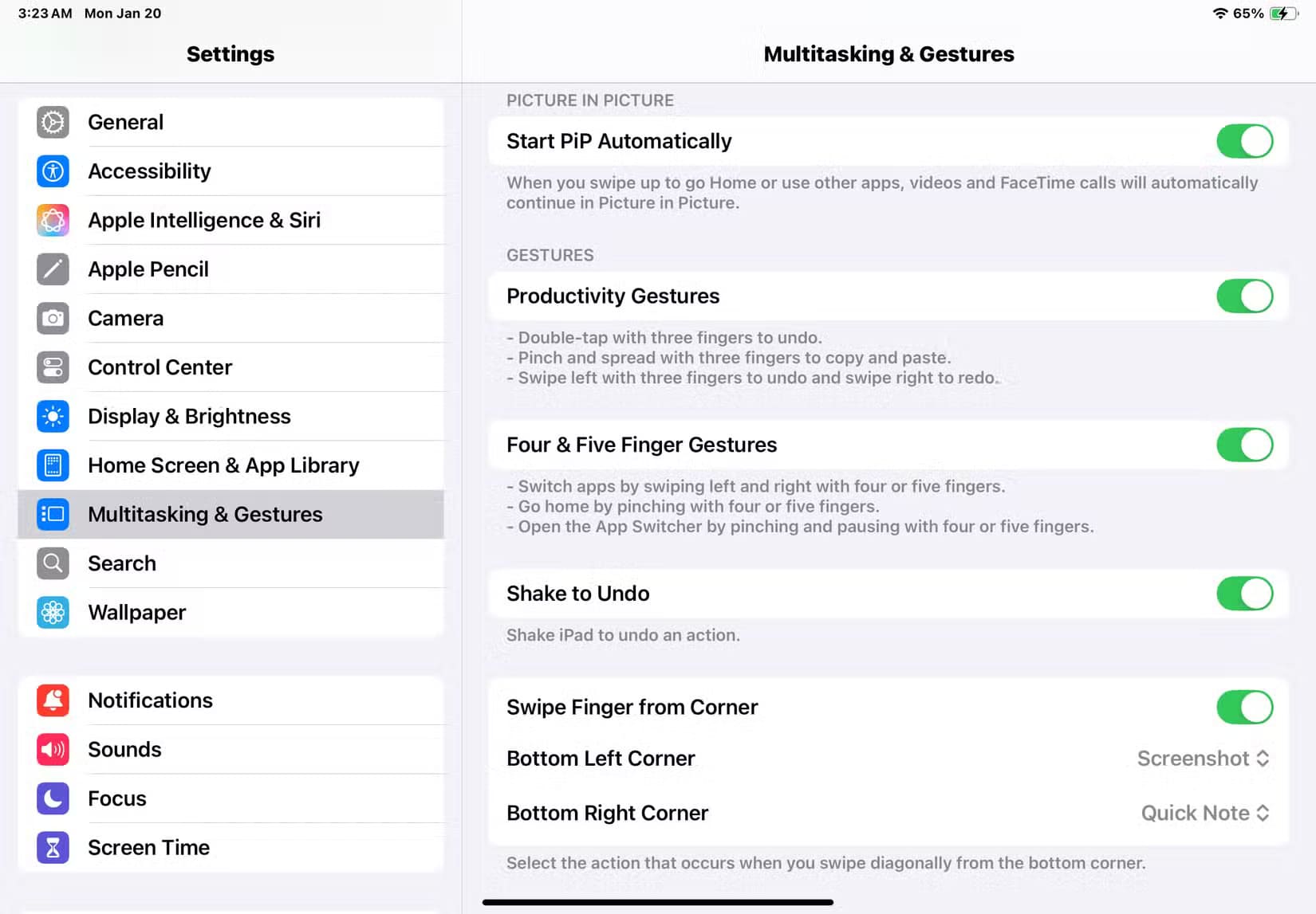 3-ipad-settings-app-showing-multitasking-gestures-section-showing-finger-gesture-options خطوات بسيطة لإيقاف ميزة تعدد المهام على iPad