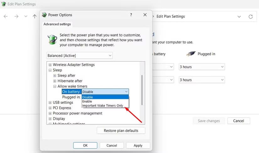 important-wake-timers-only-option-in-control-panel حل نهائي لمشكلة استيقاظ الكمبيوتر تلقائيًا أثناء عدم الاستخدام