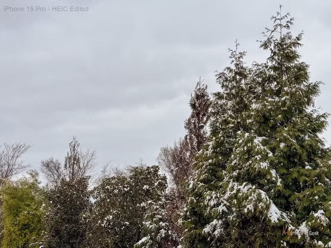snow-on-trees-heic-edited متى يكون التصوير بصيغة ProRAW على iPhone هو الخيار الأمثل؟