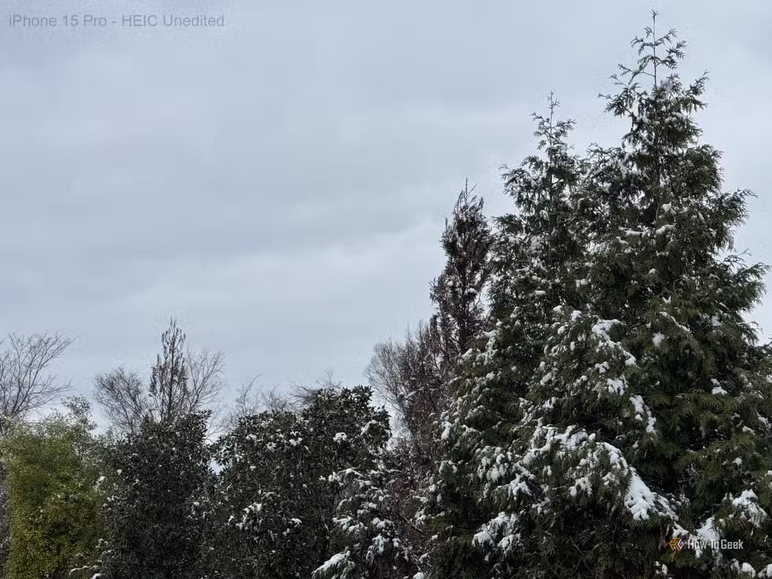 snow-on-trees-heic-unedited متى يكون التصوير بصيغة ProRAW على iPhone هو الخيار الأمثل؟