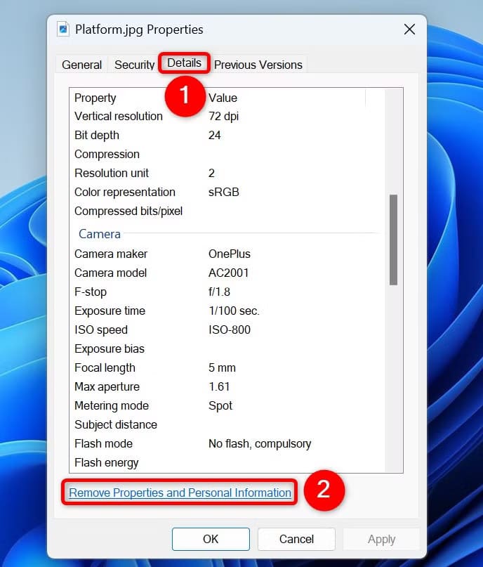 2-remove-photo-metadata طرق فعّالة لحذف بيانات EXIF من صورك في Windows 11 لحماية خصوصيتك