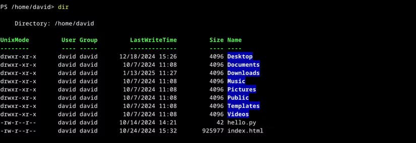 powershell-linux-dir خطوات تثبيت وتشغيل PowerShell بسلاسة على أنظمة Linux في 2025