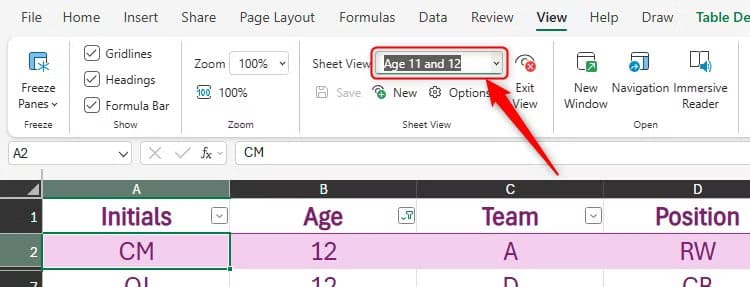 a-sheet-view-named-aged-11-and-12-in-excel-for-the-web ميزات جديدة في Excel للويب تجعل العمل على الجداول أسهل من أي وقت مضى