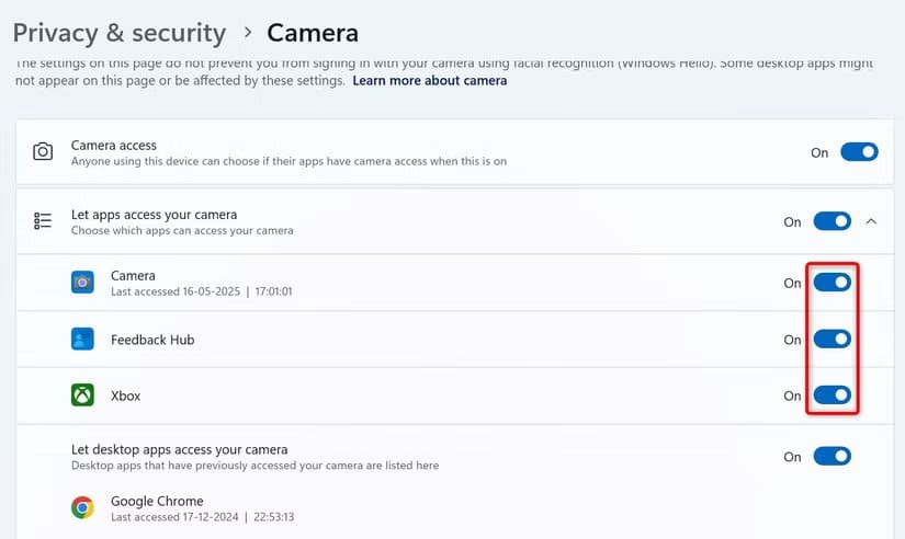 5-camera-mic-app-access اكتشف بنفسك من يراقب الكاميرا والميكروفون على Windows 11