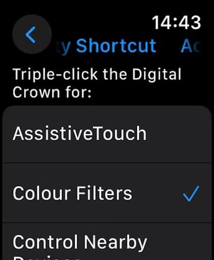 list-of-accessibilty-options-with-color-filters-selected-in-the-accessibility-shortcuts-settings-on-apple-watch-1 أسرار مذهلة في مركز التحكم Apple Watch لا يعرفها معظم المستخدمين