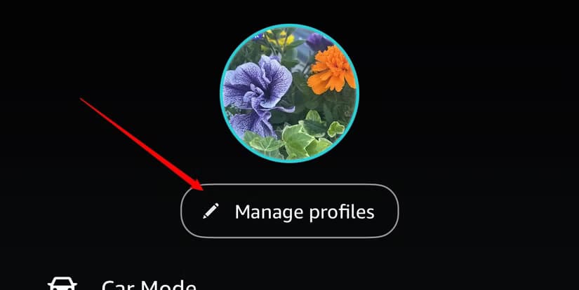 the-manage-profiles-button-in-the-ios-amazon-music-app أفضل طريقة لمشاركة قائمة تشغيلك على Amazon Music بسهولة