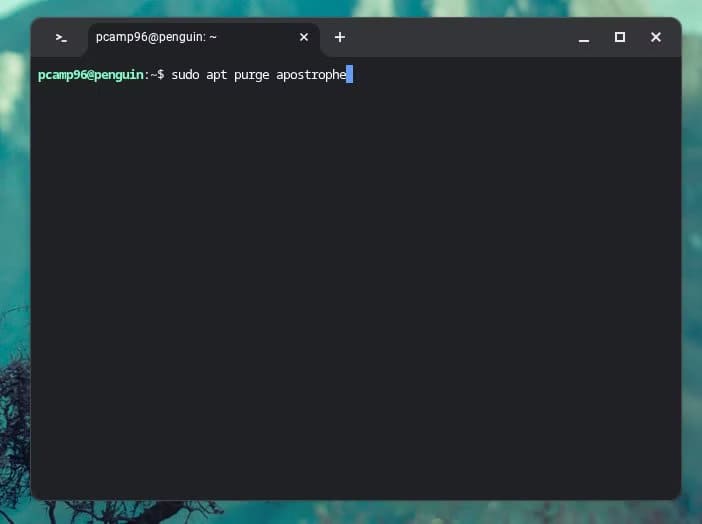 uninstalling-an-app-with-apt-on-linux-running-on-a-chromebook أفضل طريقة لإزالة تطبيقات Linux من جهاز Chromebook