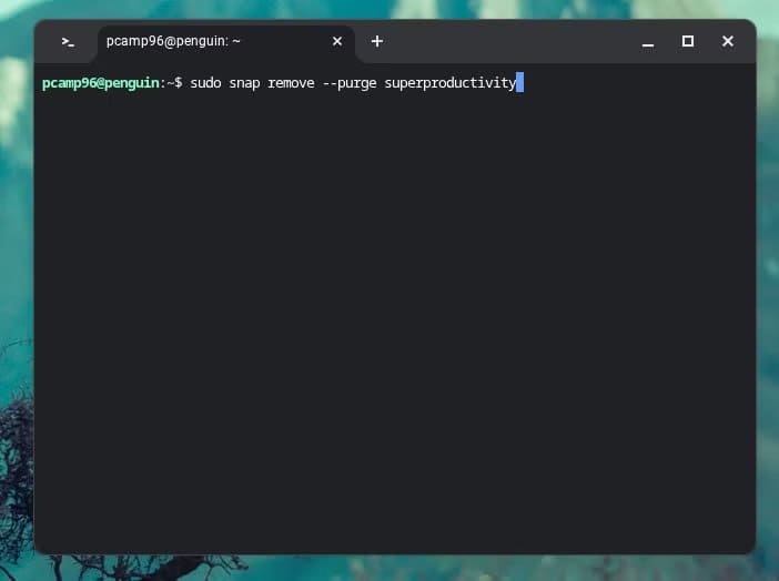 uninstalling-an-app-with-snap-on-linux-running-on-a-chromebook أفضل طريقة لإزالة تطبيقات Linux من جهاز Chromebook