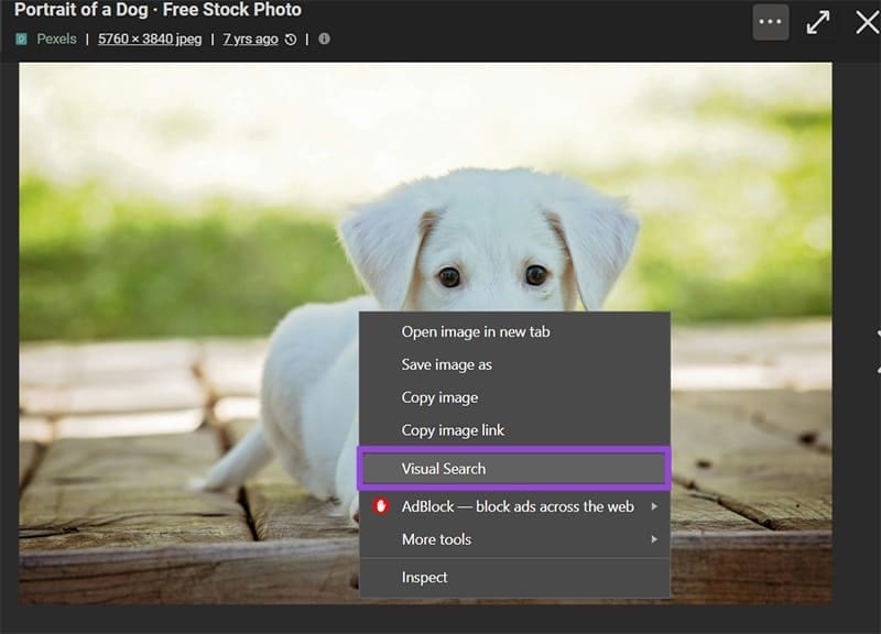 Best-Microsoft-Edge-Productivity-Tricks-13 اكتشف أدوات Microsoft Edge التي تساعدك على إنجاز المهام أسرع