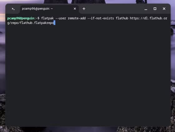adding-the-remote-repository-for-flatpak كيف تستخدم تطبيقات Linux على Chromebook لتوسيع قدراته
