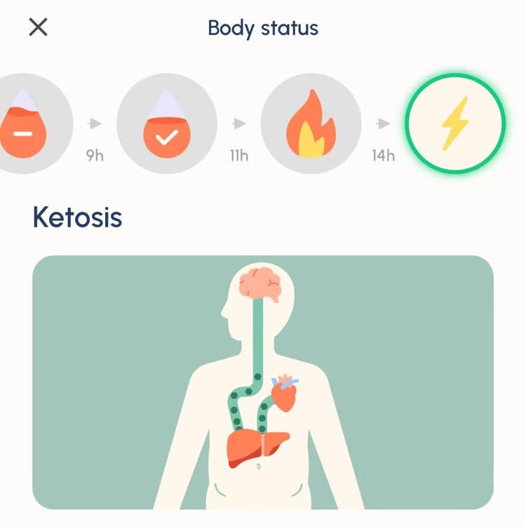 fastic-body-status-during-a-fast خسارة الوزن بفعالية مع هاتف iPhone