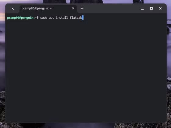 installing-flatpak-with-apt-through-linux-on-a-chromebook كيف تستخدم تطبيقات Linux على Chromebook لتوسيع قدراته