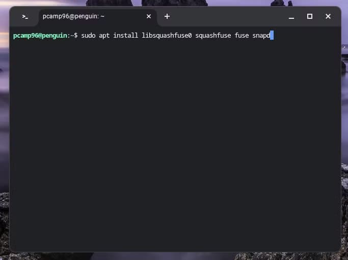 installing-snap-through-linux-on-a-chromebook كيف تستخدم تطبيقات Linux على Chromebook لتوسيع قدراته