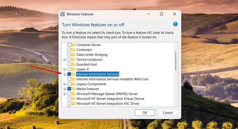 internet-information-services-box-in-windows-features استعادة المجلد الهام في Windows بعد حذفه بالخطأ