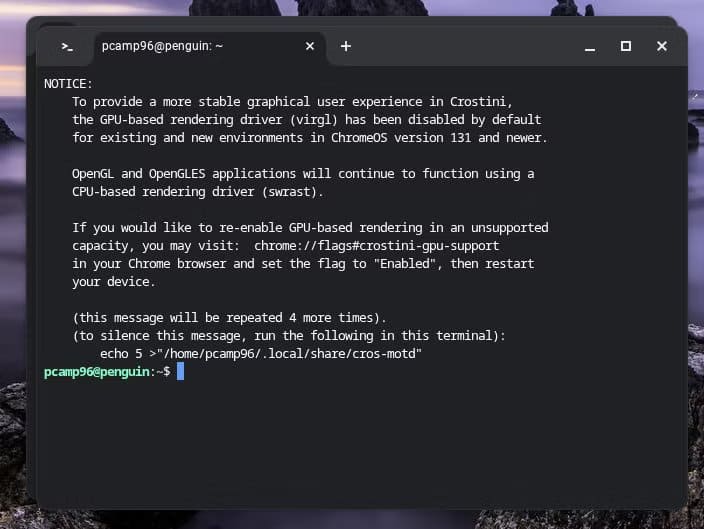 linux-terminal-launched-on-chromebook كيف تستخدم تطبيقات Linux على Chromebook لتوسيع قدراته