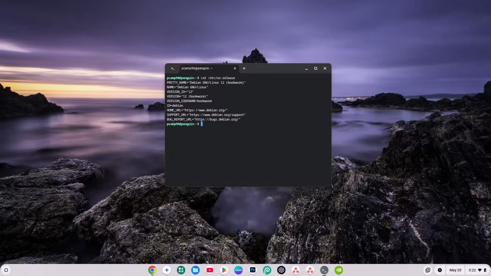 linux-terminal-running-on-a-chromebook-showing-the-release-information كيف تستخدم تطبيقات Linux على Chromebook لتوسيع قدراته