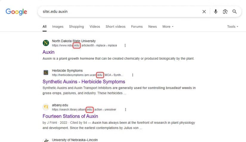 the-google-search-result-for-a-domain-extension-specific-query أفضل 8 طرق للحصول على نتائج دقيقة عند البحث في Google