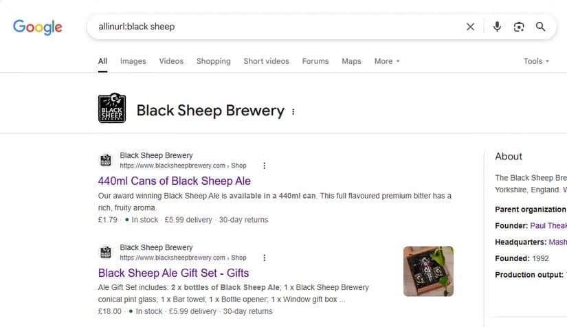 the-google-search-result-when-allinurl-is-added-to-the-terms أفضل 8 طرق للحصول على نتائج دقيقة عند البحث في Google