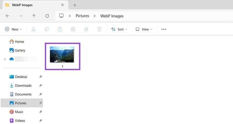How-to-Open-or-Edit-WebP-Images-in-Windows-1 فتح وتحرير صور WebP في Windows بخطوات سريعة