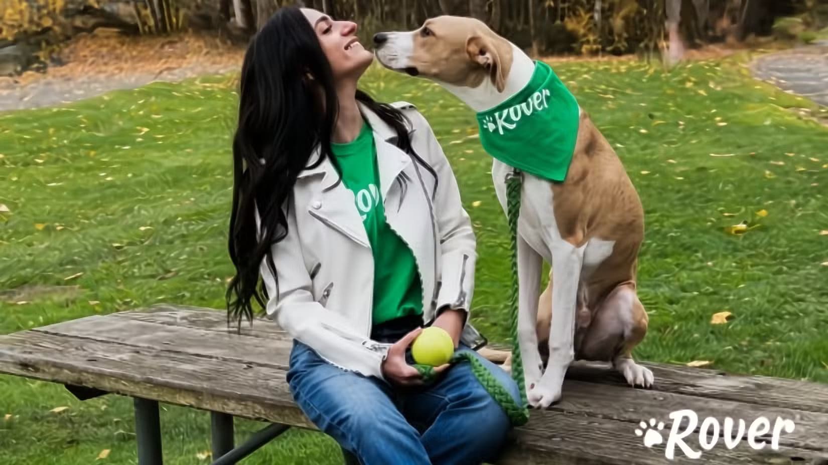 a-rover-sitter-watching-a-dog-with-a-green-ascot تطبيقات Android أثبتت فعاليتها في كسب المال بدون رأس مال