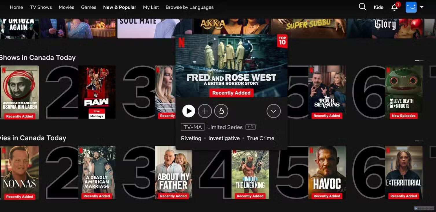 page_5-3-e1753871264397 ما ينقص Netflix لتصبح خدمة بث متكاملة
