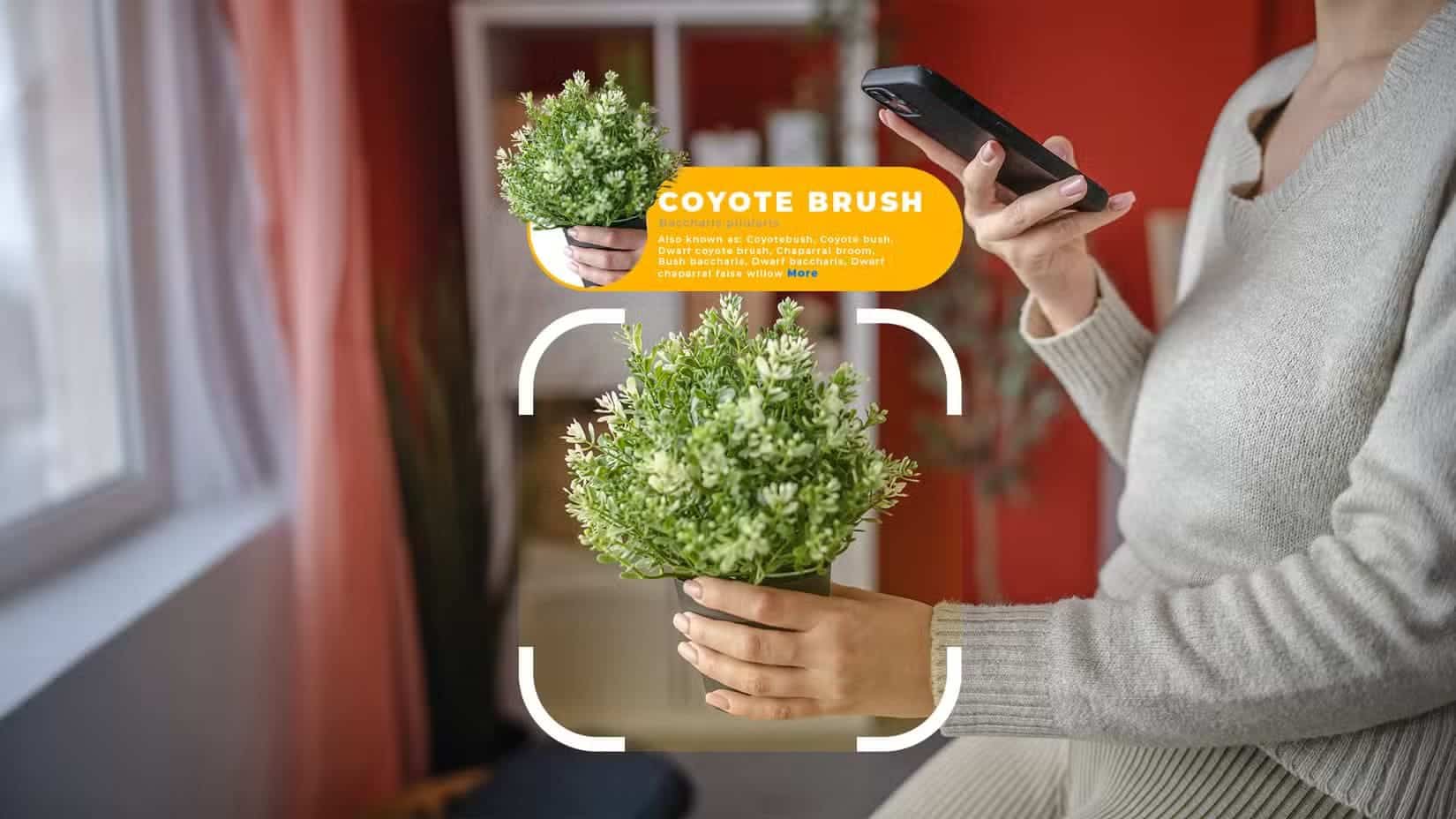 a_woman_holding_a_plant_and_identifying_it_with_her_phone طرق ذكية لاستخدام هاتفك الأندرويد في العناية بنباتاتك