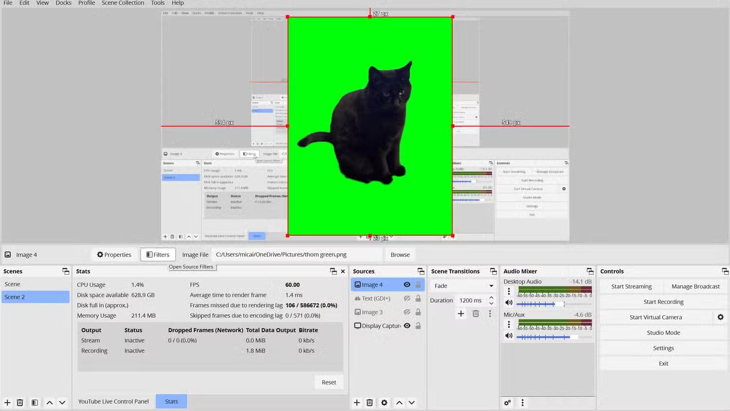 an-obs-layout-of-a-scene-showing-a-black-cat-in-front-of-a-green-screen-the-source-of-the-image-is-selected-as-the-filters-button-for-the-image-being-hovered-over-by-the-user إعدادات OBS التي تجعل البث المباشر بجودة احترافية