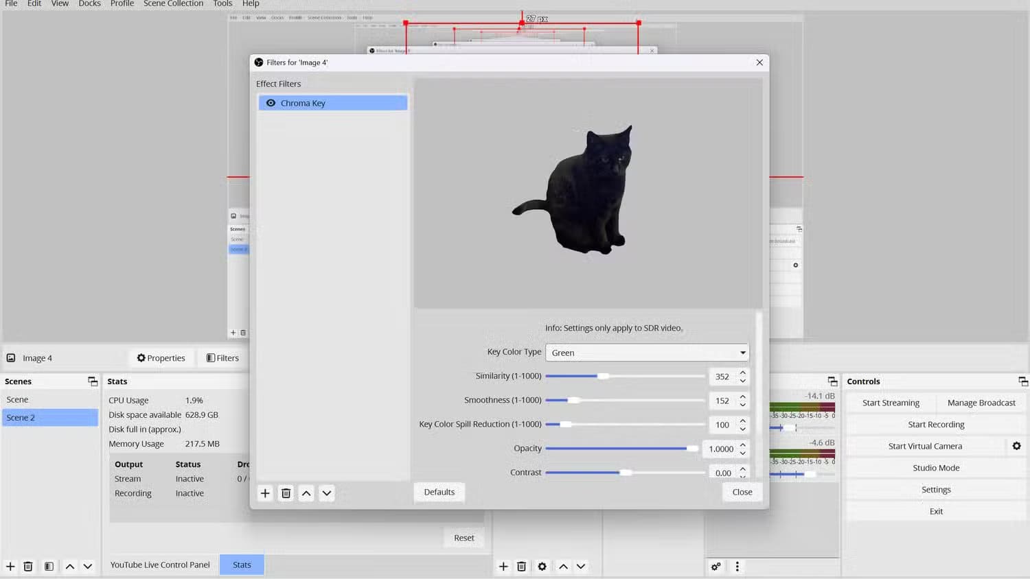 an-obs-layout-of-an-image-of-a-black-cat-that-was-chroma-keyed-to-be-transparent إعدادات OBS التي تجعل البث المباشر بجودة احترافية