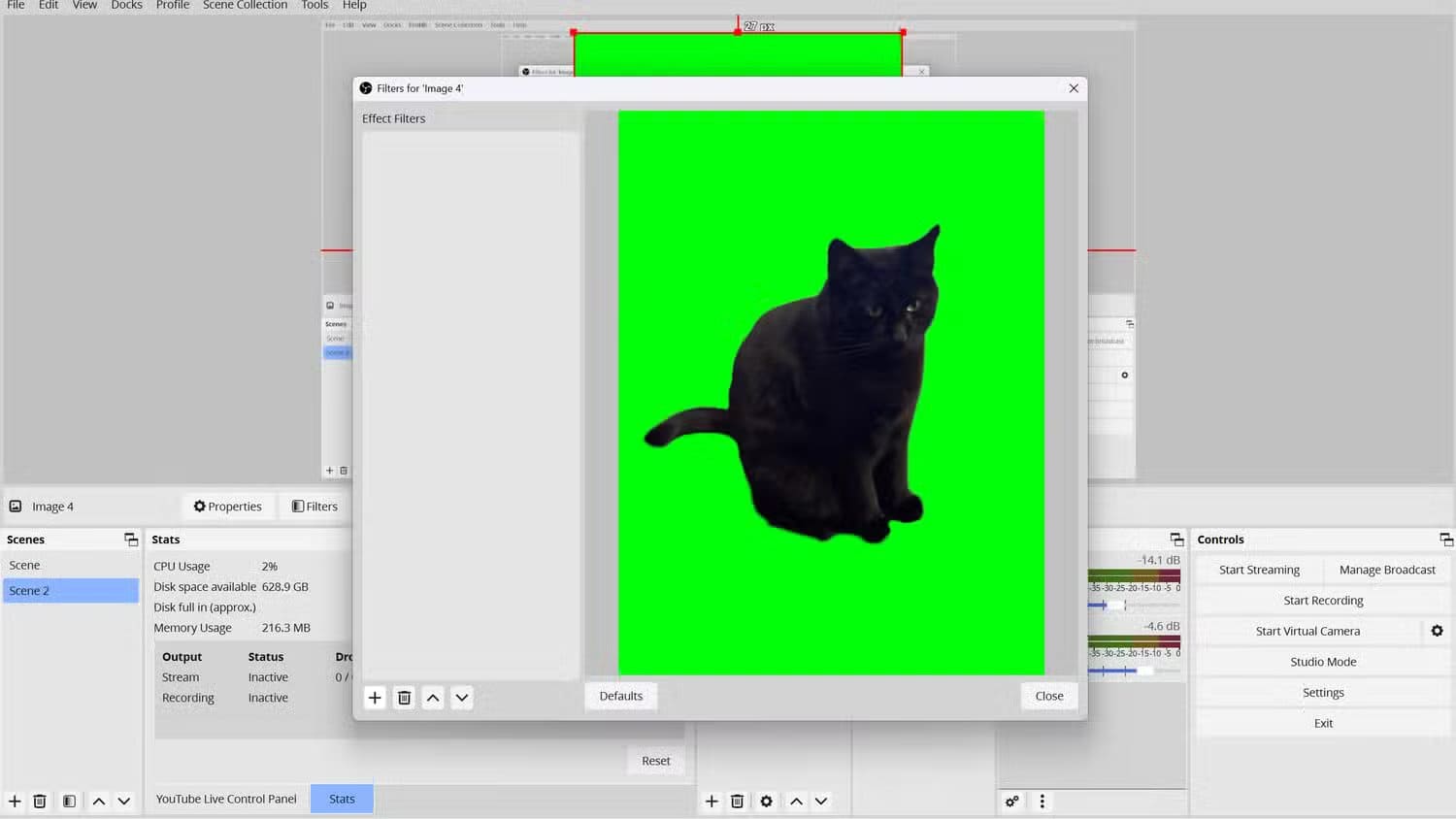 an-obs-layout-showing-the-filters-screen-menu-of-an-image-of-a-black-cat-in-front-of-a-green-screen إعدادات OBS التي تجعل البث المباشر بجودة احترافية