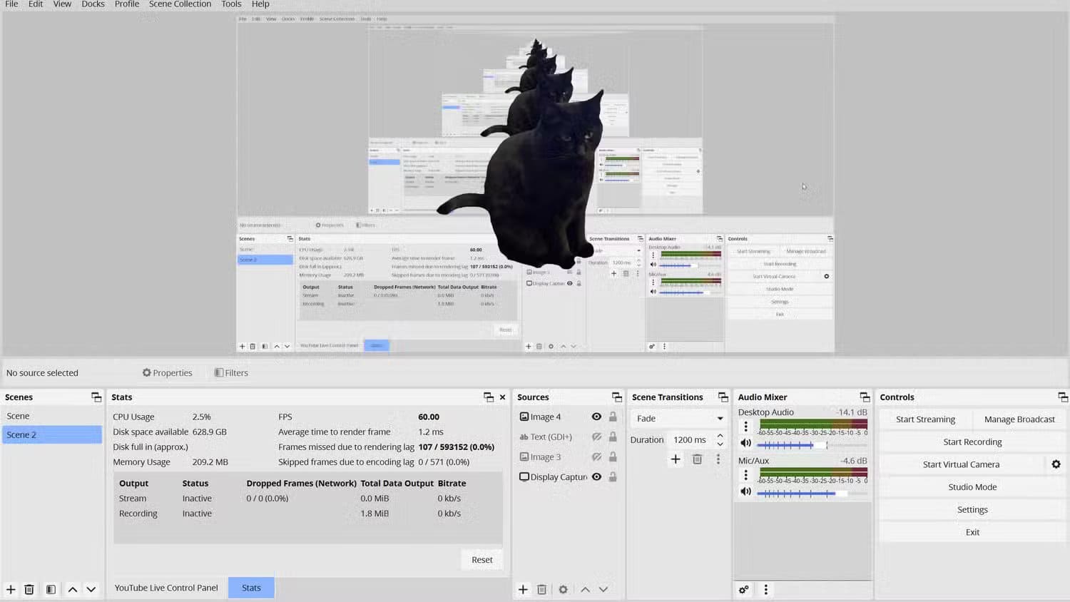 an-obs-layout-that-shows-a-transparent-image-of-a-black-cat-as-its-focal-source إعدادات OBS التي تجعل البث المباشر بجودة احترافية