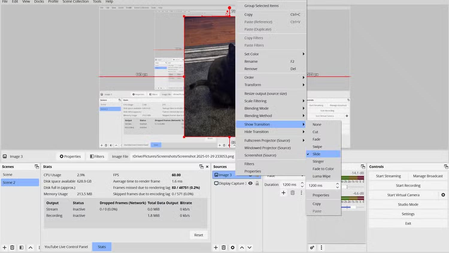 an-obs-project-showing-a-black-cat-sitting-on-a-rug-the-tool-menu-is-highlighting-the-show-menu-tool-and-is-highlighting-the-slide-option إعدادات OBS التي تجعل البث المباشر بجودة احترافية