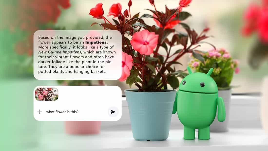 android-mascot-standing-beside-a-flower-pot-with-pink-flowers-on-a-windowsill-with-an-overlaid-text-box-describing-the-plant-s-identification طرق ذكية لاستخدام هاتفك الأندرويد في العناية بنباتاتك