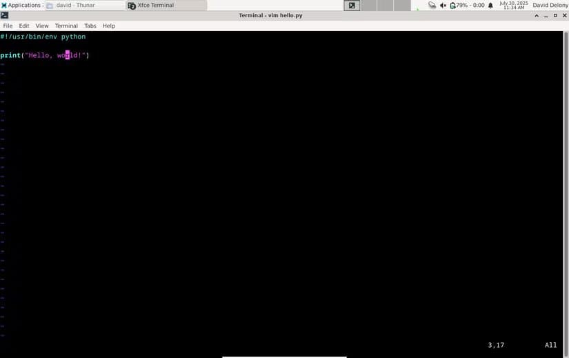 linux-vim-python-hello-world أسباب تجعل Linux نظام التشغيل المفضل للمطورين