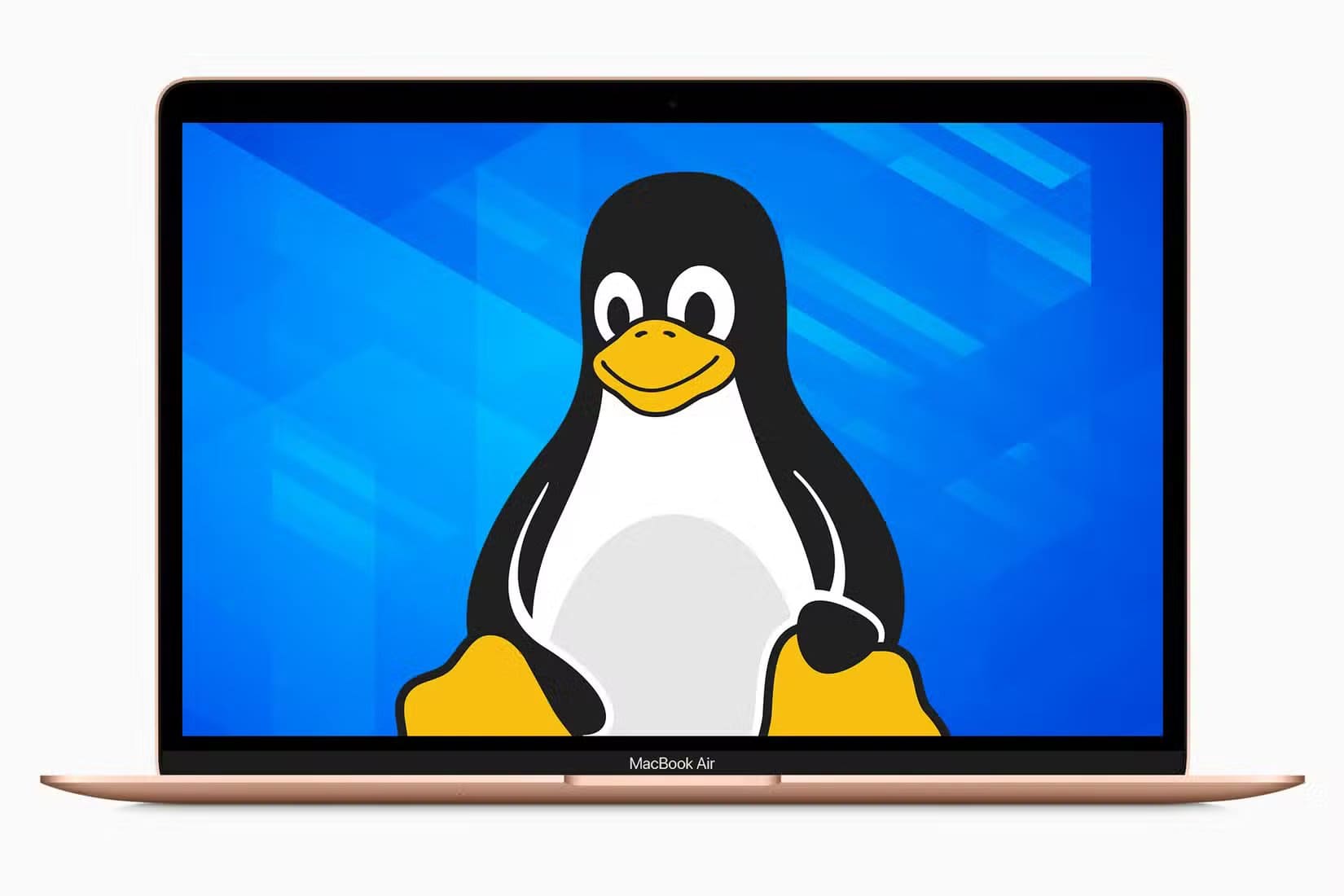 linux ما الأفضل لمختبر منزلي Linux أم macOS