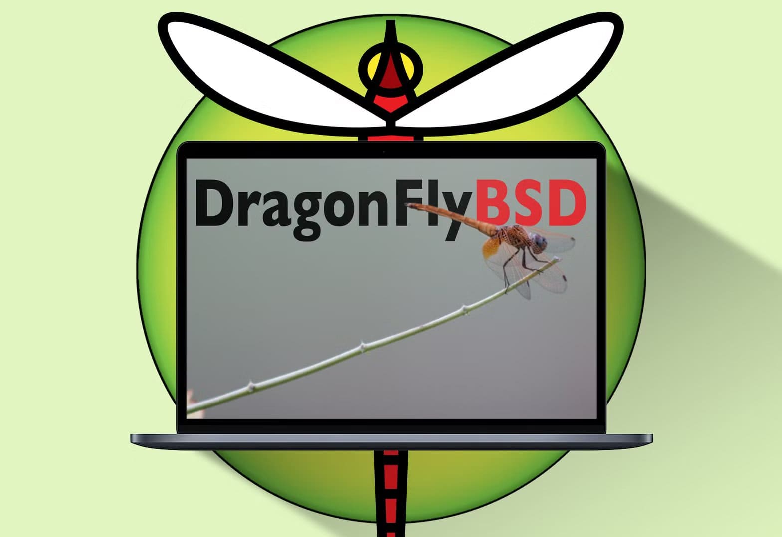 dragonfly-bsd-logo-with-dragonfly مميزات DragonFly BSD التي تجعله خيارًا مختلفًا بين أنظمة التشغيل
