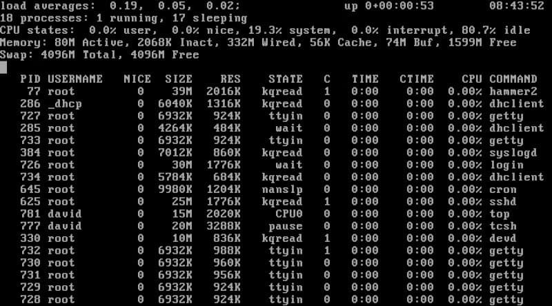 dragonfly-top مميزات DragonFly BSD التي تجعله خيارًا مختلفًا بين أنظمة التشغيل