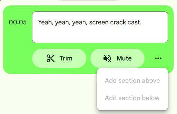 edit-transcript-options أفضل طريقة لتسجيل الشاشة على أجهزة Chromebook بسهولة