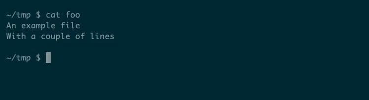 linux-cat-single-file أفضل استخدامات أمر cat في Linux مع أمثلة عملية