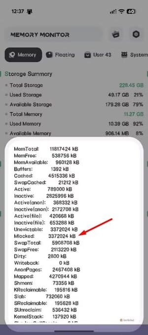 mlocked-entry-in-ram-memory-monitor-app طريقة سهلة لزيادة ذاكرة Pixel 10 وتحسين الأداء