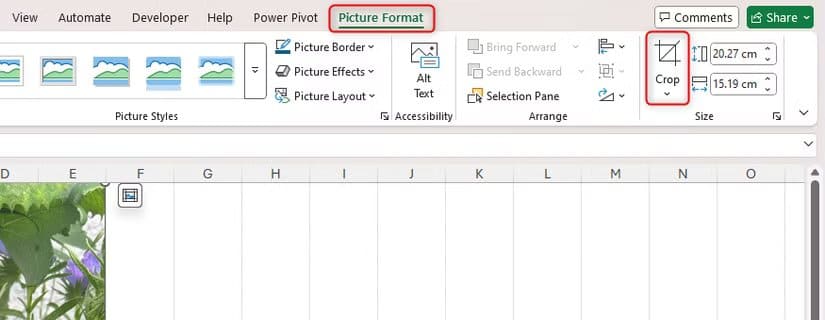 a-picture-in-excel-is-selected-and-the-crop-tool-in-the-picture-format-tab-is-highlighted طريقة سريعة لقص الصور في Word وExcel وPowerPoint