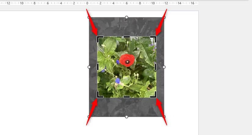 all-four-corners-of-a-picture-in-powerpoint-are-cropped طريقة سريعة لقص الصور في Word وExcel وPowerPoint