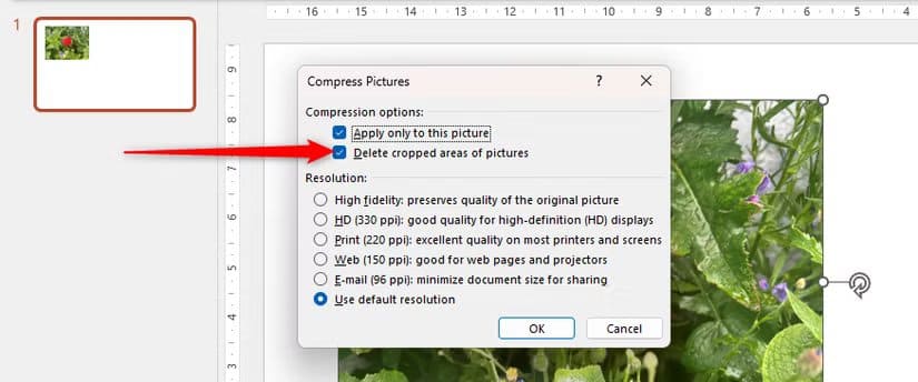 delete-cropped-areas-of-pictures-is-checked-in-powerpoint-s-compress-pictures-dialog-box طريقة سريعة لقص الصور في Word وExcel وPowerPoint
