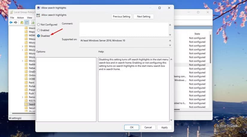 disabled-option-in-the-allow-search-highlights-policy-settings-window طريقة بسيطة لإخفاء أيقونات البحث المزعجة من شريط مهام Windows 11