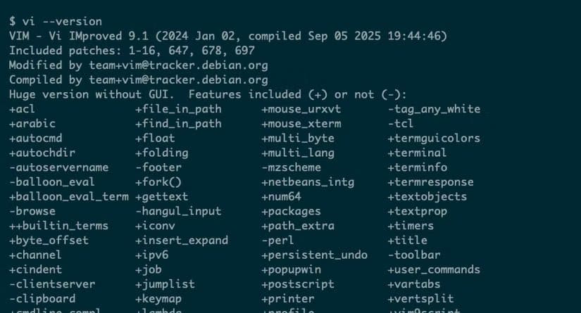 linux-vi-version أوامر لينكس التي تحولك من مستخدم عادي إلى محترف
