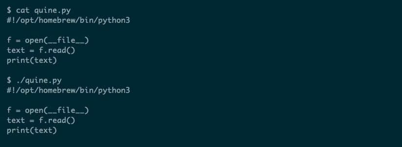 quine كيفية استخدام دالة open في Python لقراءة وكتابة الملفات