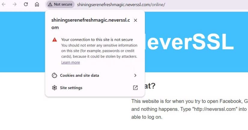 screenshot_20250922_020250 كيف تحميك المتصفحات الحديثة أثناء تصفح الإنترنت دون أن تلاحظ