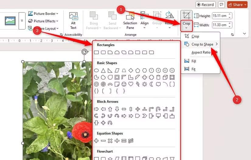 the-crop-to-shape-option-in-microsoft-powerpoint-is-selected-with-the-various-shape-options-on-display طريقة سريعة لقص الصور في Word وExcel وPowerPoint
