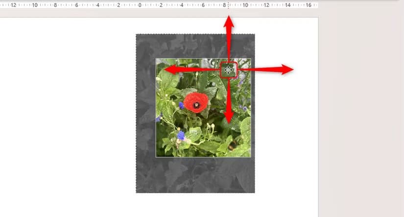 the-cropped-area-of-an-image-in-powerpoint-is-clicked-and-dragged طريقة سريعة لقص الصور في Word وExcel وPowerPoint