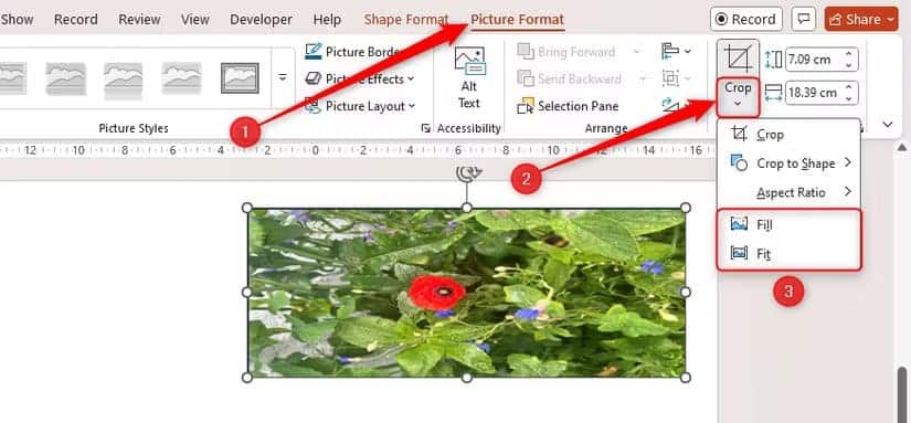 the-fill-and-fit-options-in-powerpoint-s-crop-drop-down-menu-are-highlighted طريقة سريعة لقص الصور في Word وExcel وPowerPoint